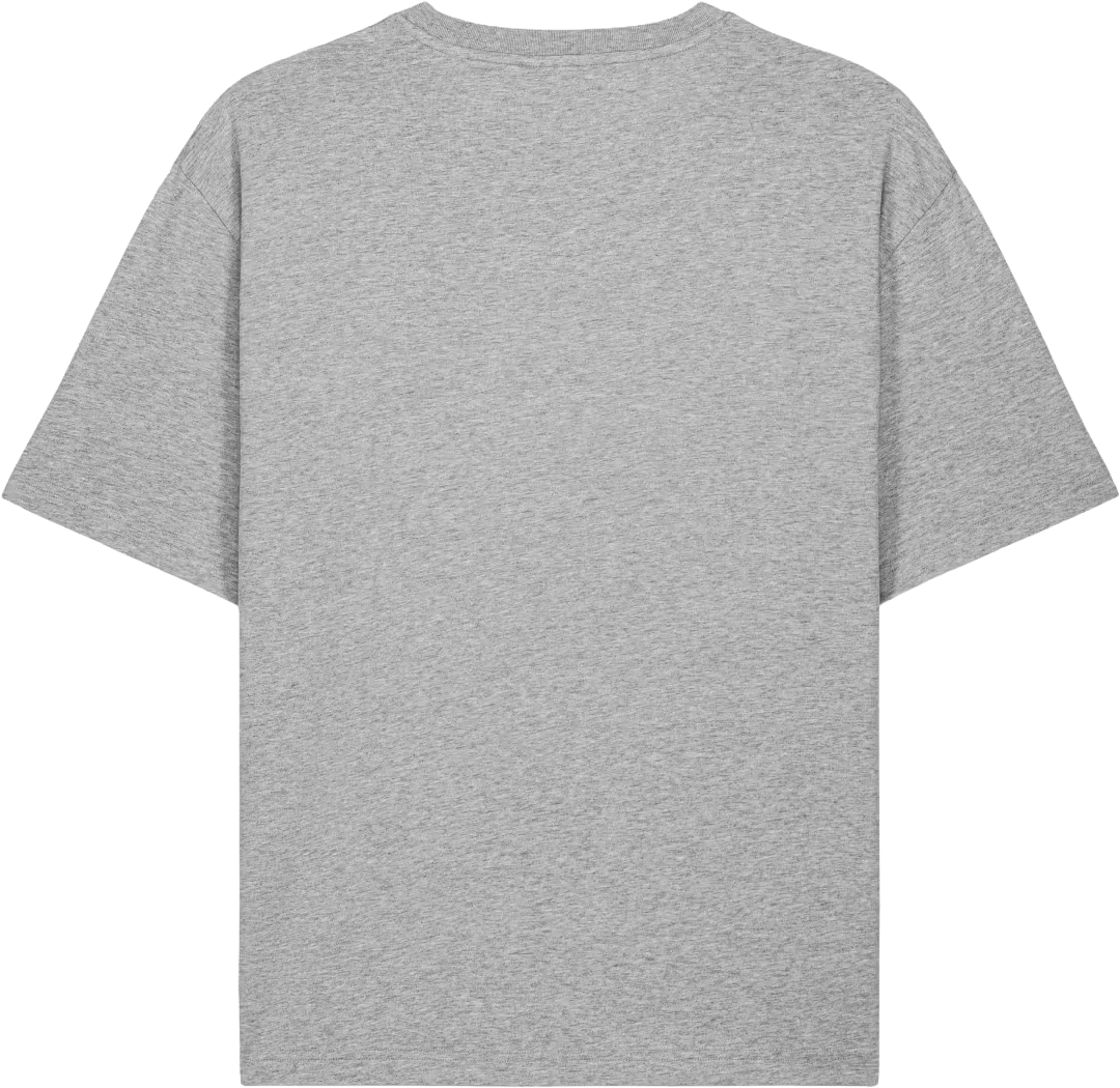 RYO Independent Street Culture Heather Grey — back